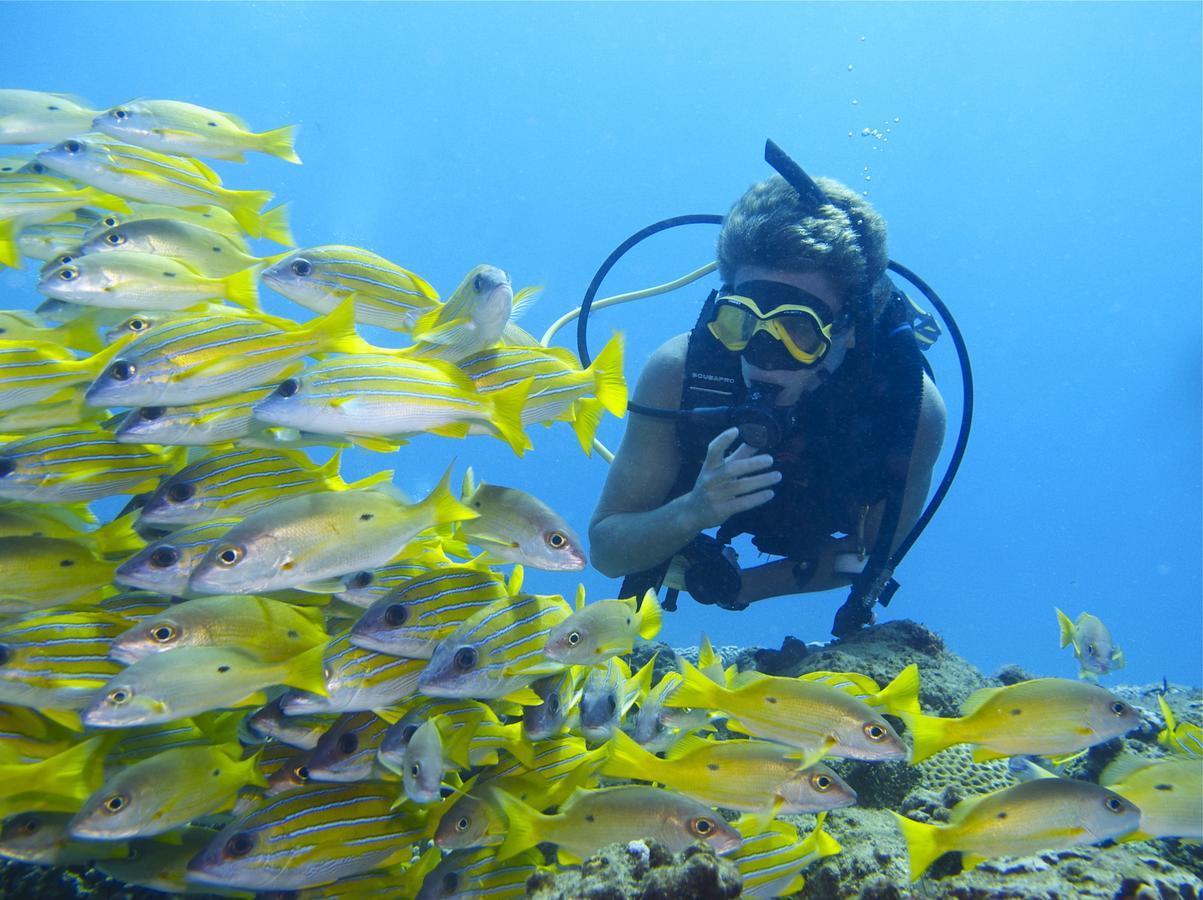 Hotel Coral Divers Sodwana Bay
